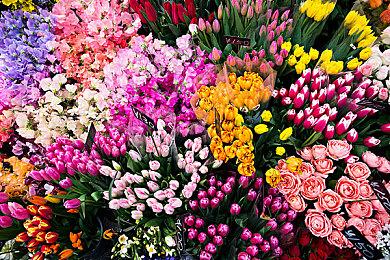 黑曜石表示没Game Pass就没《Pentiment》